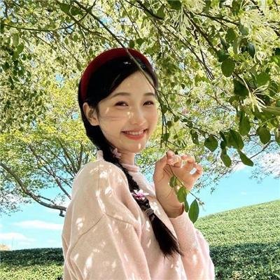 好家伙先生